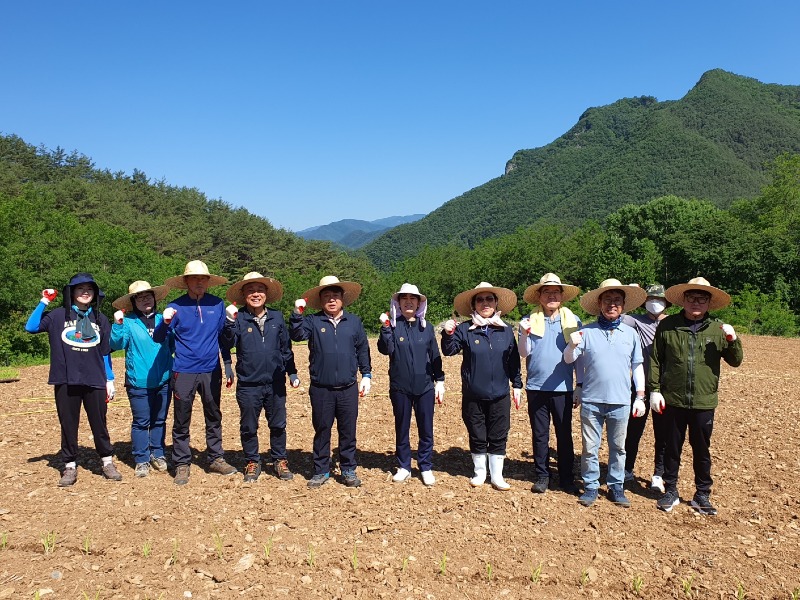 240604(화)사진자료(정선군의회, 농촌일손돕기 참여) (1).jpg