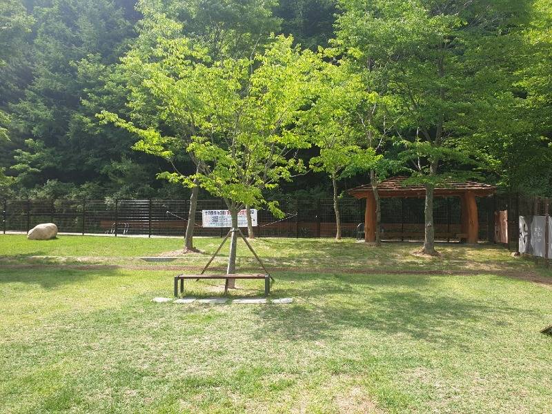 2. 태백시, 반려동물 놀이터 및 산책로 확장 운영(2).jpg