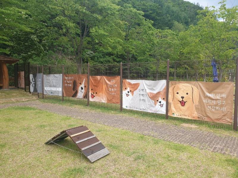 2. 태백시, 반려동물 놀이터 및 산책로 확장 운영(1).jpg