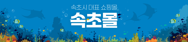 20240715 속초몰.png