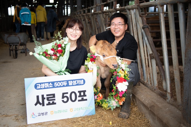 2 고성칡소 500두 달성 기념 행사(2024.07.18)05.jpg