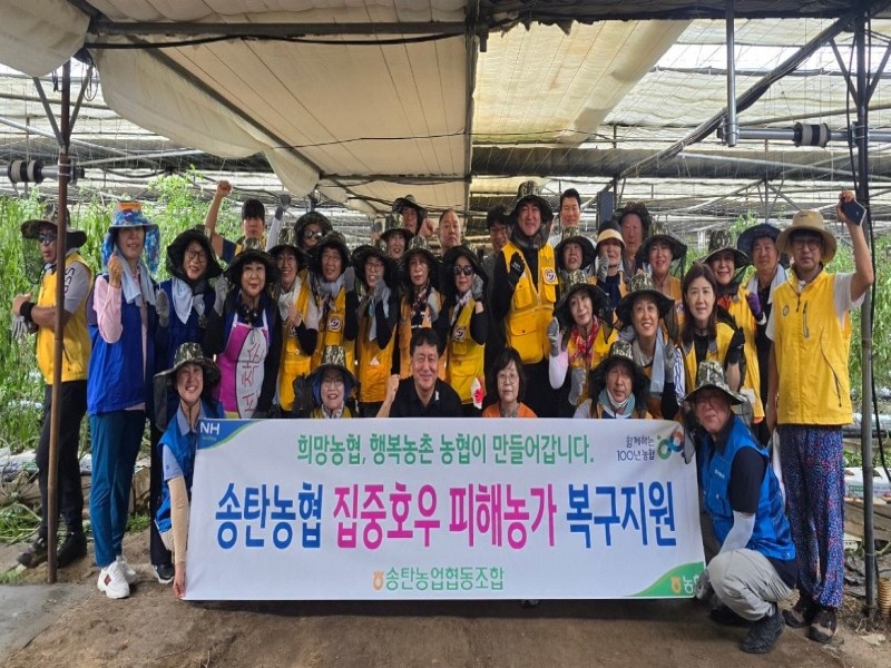 1-1 자원봉사단체 토마토 하우스 농가 수해복구 봉사활동 전개.JPG