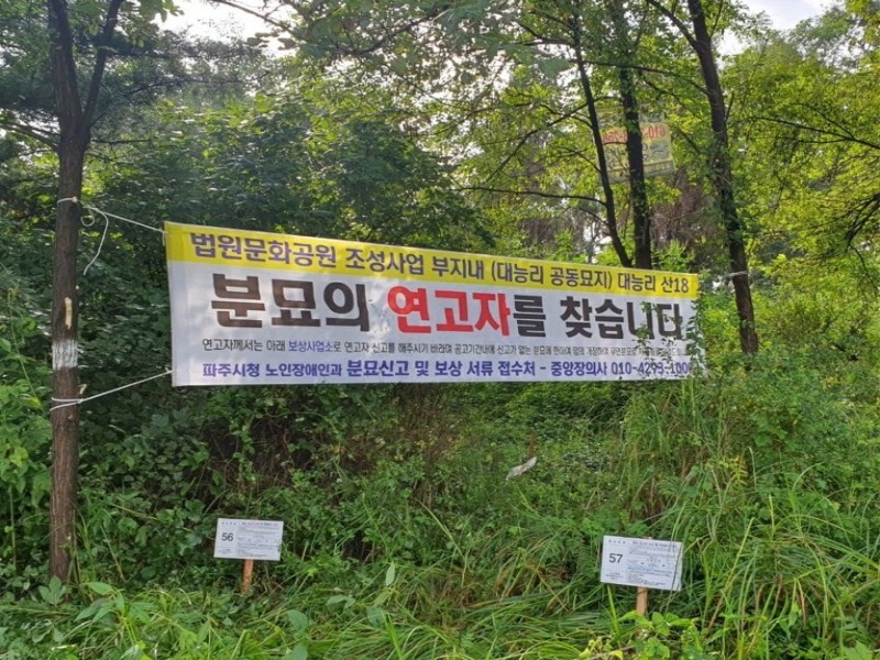 2. 파주시, 법원읍 대능 공동묘지 무연분묘 일제 정비 실시.jpg
