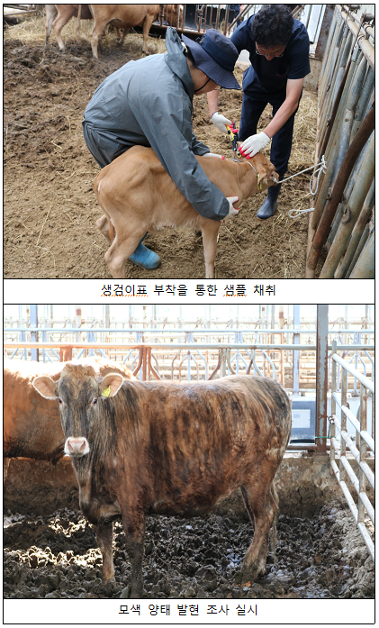 화면 캡처 2024-08-12 085955.png
