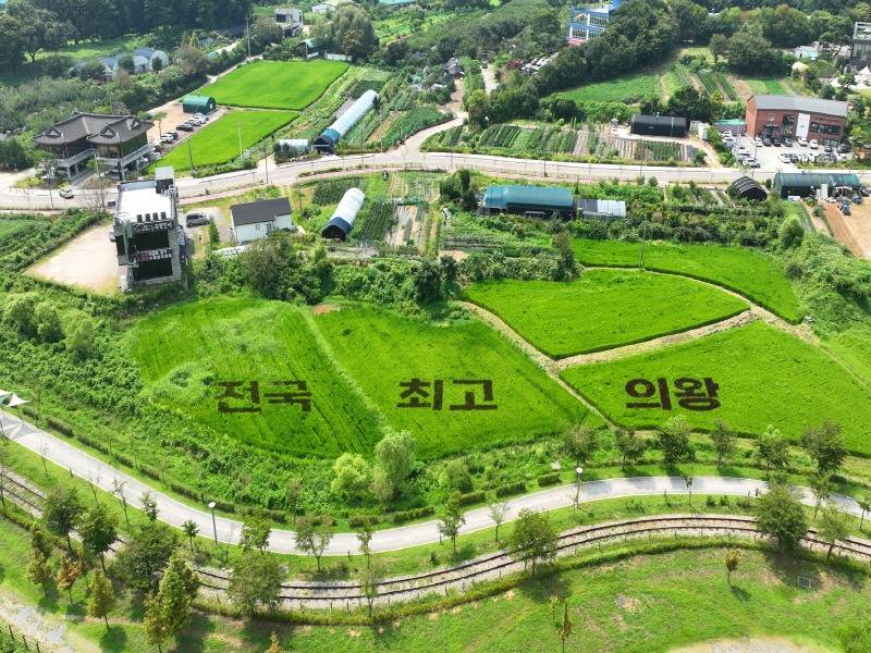 2.(사진)벼아트_초평동.jpg