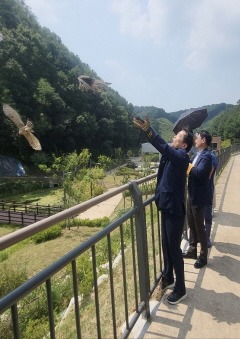 야생동물.jpeg