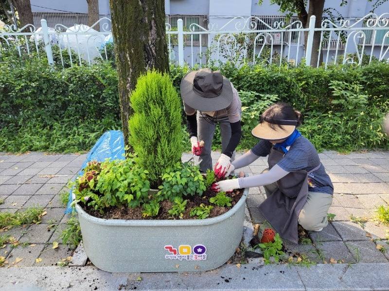 염화로꽃거리정비.jpeg