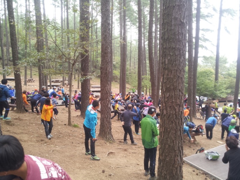 (8. 29.)  광양시체육회․산악연맹 ‘백운산 기와 숲체험 건강 등산행사’ 개최 - 체육과(2).jpg