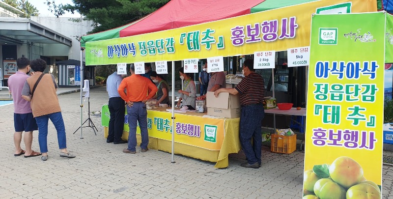 1010 10월 한 달만 맛볼 수 있는 정읍 태추단감, 휴게소에서 만나요 (2).jpg
