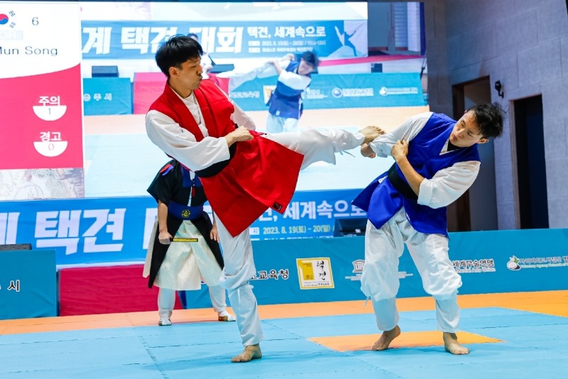 241017 제15회 세계택견대회 개최(1).jpg