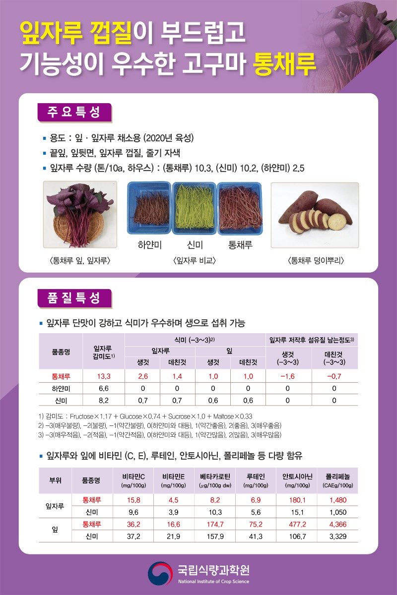 통채루.jpg