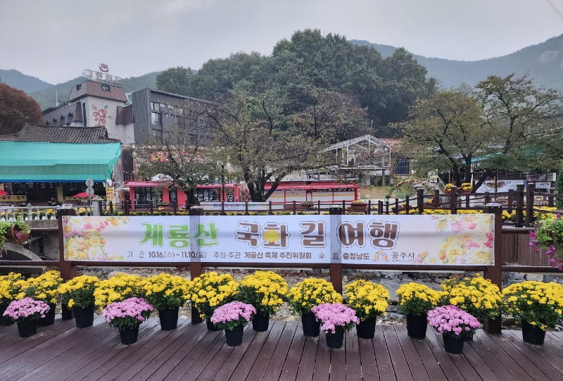 사본 -계룡산 국화길 여행 사진  (1).jpg