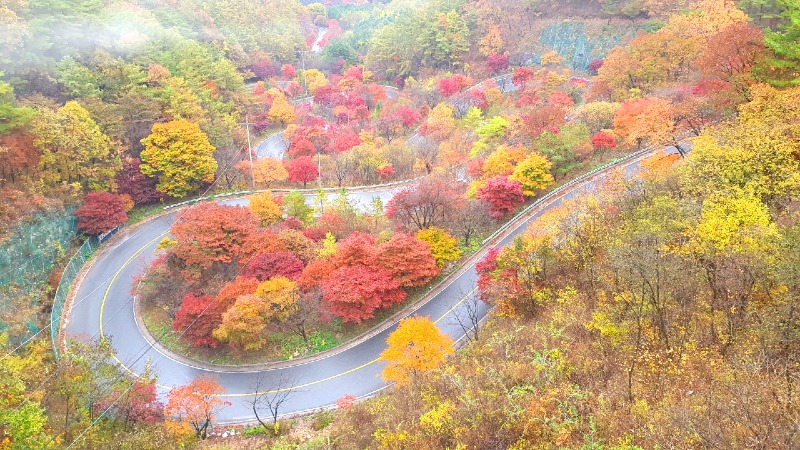 사본 -보도 1) 지난 1일 안개속에서 특별한 분위기를 자아내고 있는 보발재.jpg