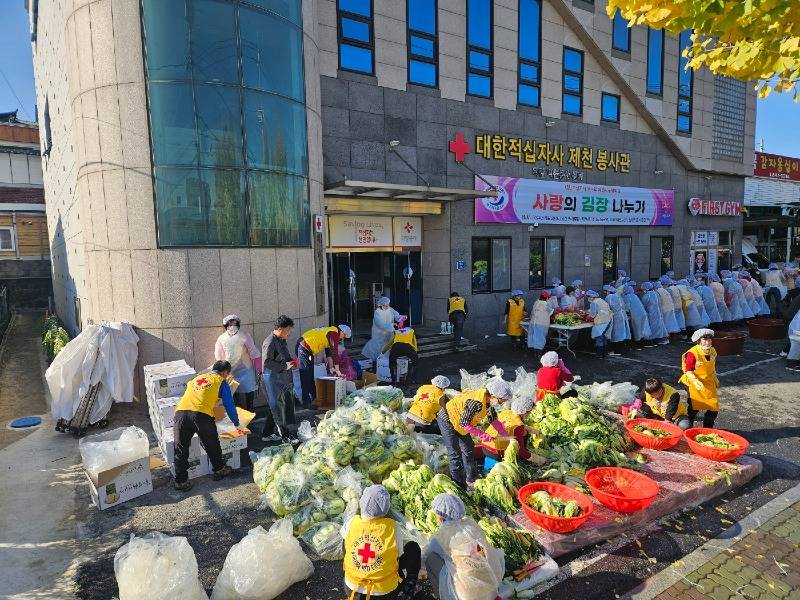 대한적십자사 제천지구협의회, 사랑의 김장나누기 봉사 전개1.jpg