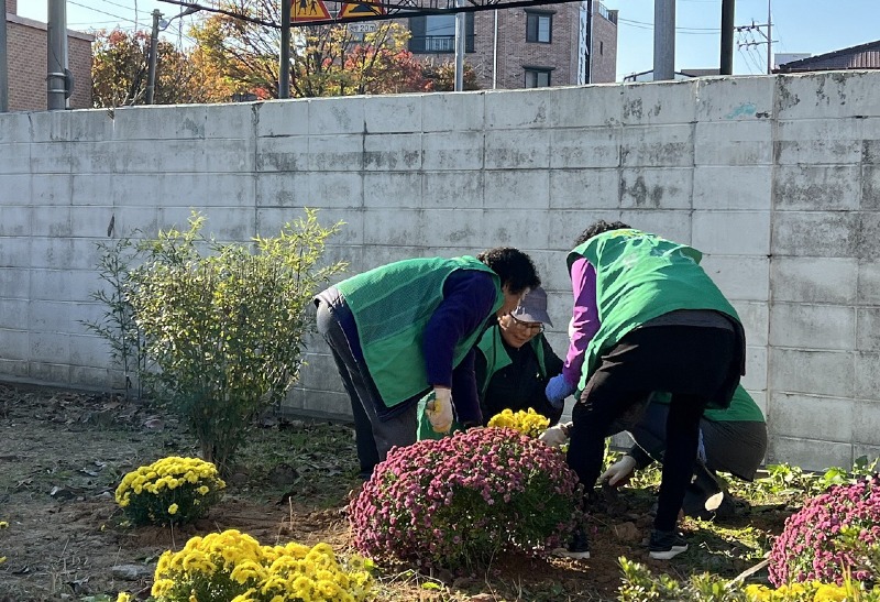 남중동 새마을부녀회, 가을 맞이 환경정비 나서 3.jpg