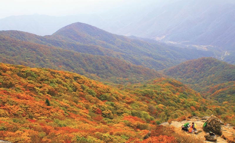 (11. 7.) 짧아진 가을, ‘광양 백운산으로 떠나볼 결심’ - 관광과(2023 광양 백운산의 가을).jpg