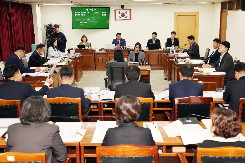 20241113- 제422회 정례회 행정문화위원회 행정사무감사(문화체육관광국) (18).jpg