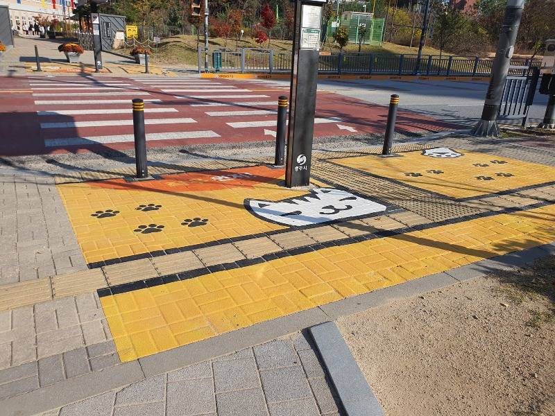 241115 옐로카펫 설치1.jpg