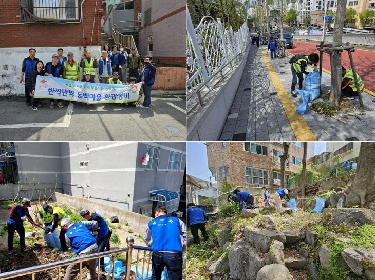 부산 서구 동대신1동 통장협의회, 동백마을 환경정화 활동 나서