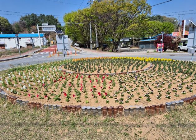 화사한 꽃들로 물들이는 화촌면, 도로에 봄 미관을 입히다