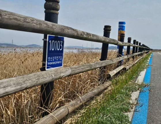 무안군, 영산강 강변도로‧자전거길에 기초번호판 설치