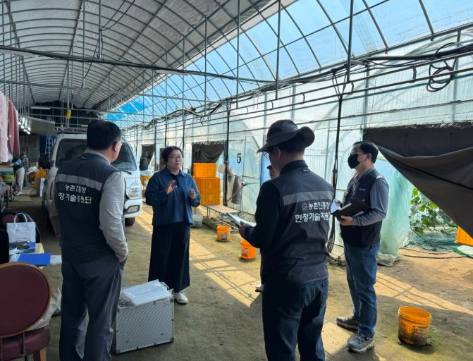 1. 천안시농업기술센터가 농촌진흥청과 함께 오이 농가를 대상으로 컨설팅을 하고 있다.