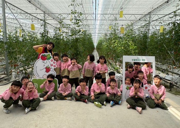 특화사업 푸드브릿지 방울토마토 체험 활동