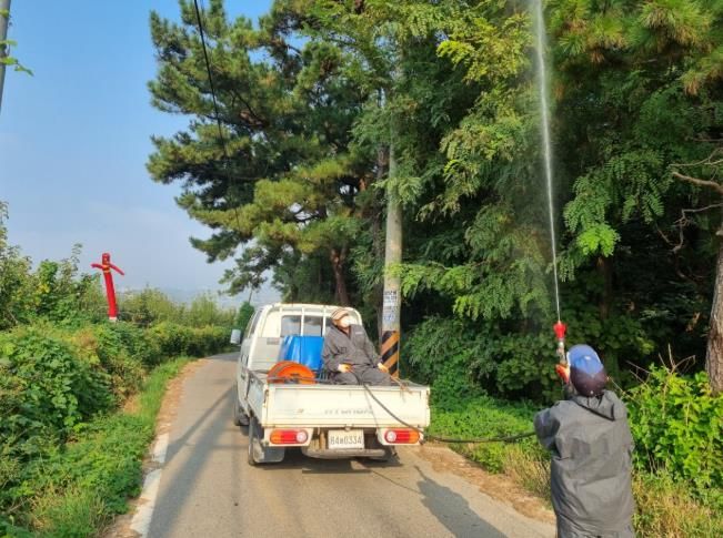 강화군 불은면, 돌발 해충 집중 방제 “작전 개시!”