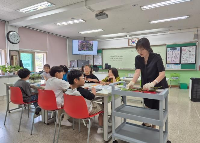 경남교육청, ‘2025. 초등 지역 수업나눔주간’ 운영