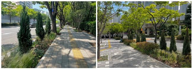 안전한 등굣길 제공, 생태적 교감능력 향상을 위해 조성된 ‘창신초 그린등굣길’