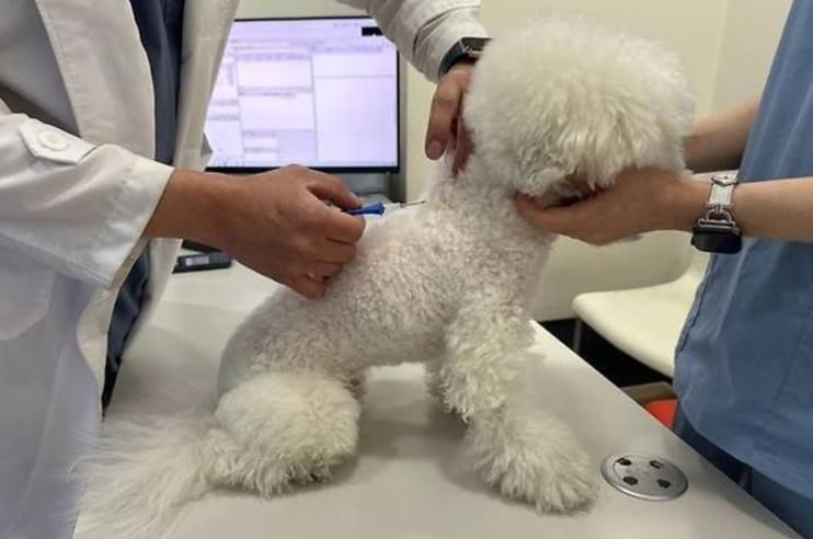 남원시 동물등록 자진신고기간 동물등록 홍보