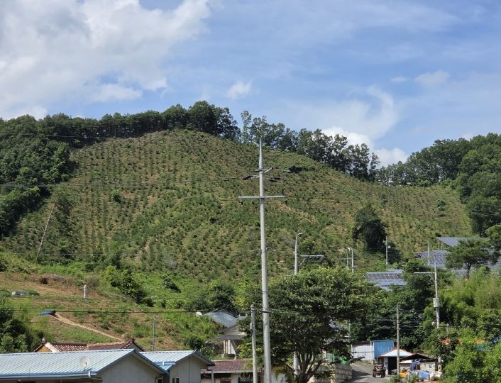 골프장 시료 채취 모습