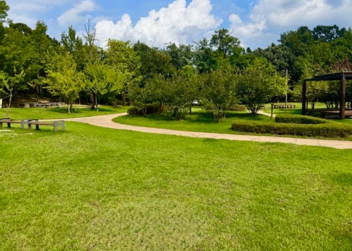 남양주시, 공원 및 도로변 녹지 정비 총력…쾌적한 명절 환경 조성