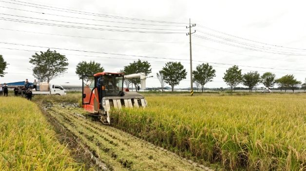 수확을 시연하는 백성현 논산시장