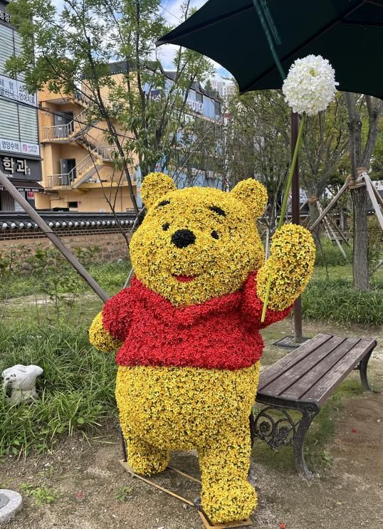 국화와 가을꽃 전시회 포토존 사진