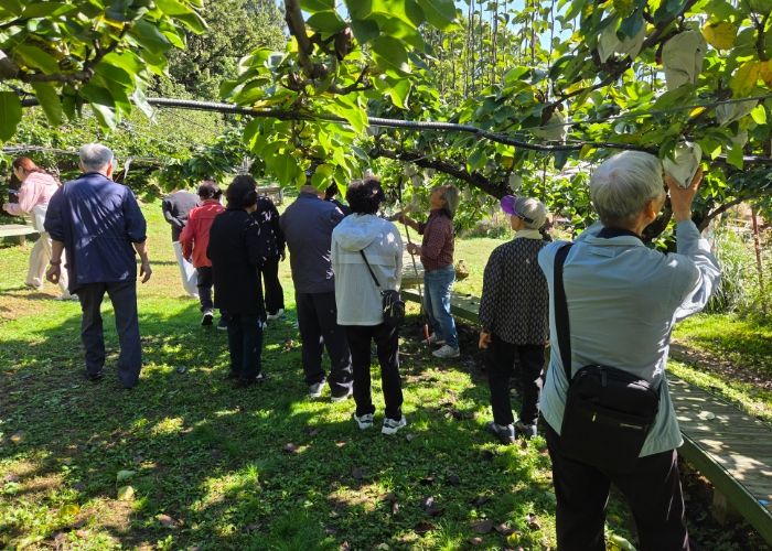 남양주시, 치매환자와 가족이 함께 참여하는 치유농업 프로그램 운영 성료