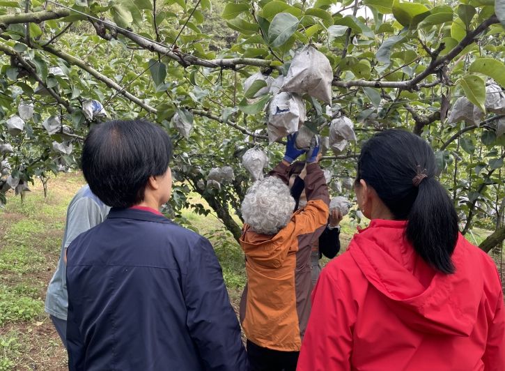 가을 야유회‘달콤한 기억 담기