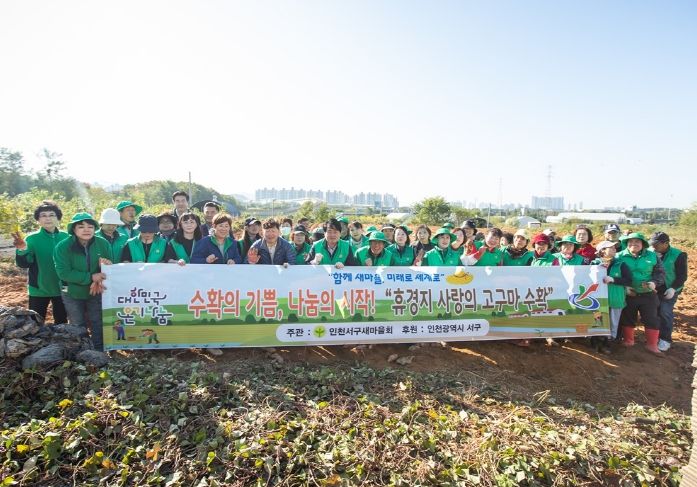 수확의 기쁨, 나눔의 시작! 휴경지 고구마 수확