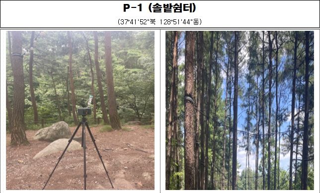 강원특별자치도 보건환경연구원,'강릉솔향수목원' 피톤치드 조사