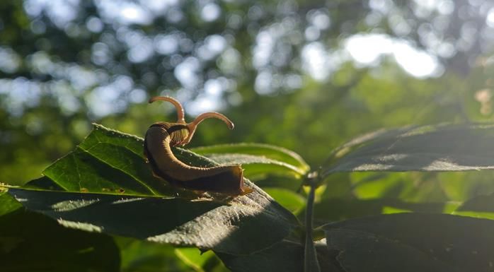 제 19회 전국 숲 해설 경연대회 숲 사진 부문 수상작