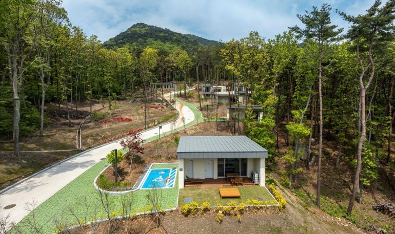 덕적도 자연휴양림, 개장 7개월 만에 1만 3천 명 방문