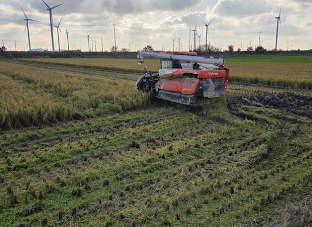 볏짚환원 사업 전면 확대