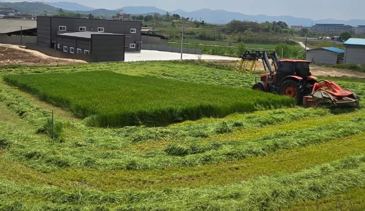 청주시, 조사료 전문단지 조성사업 첫 공모 선정
