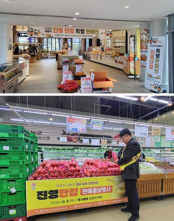 김해시, 진영단감 온·오프라인 판촉행사 개최