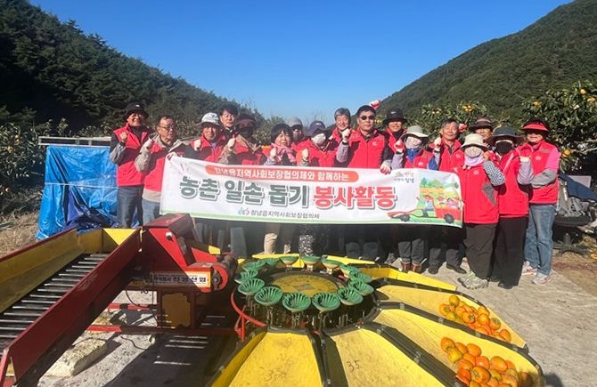 단감수확 일손 돕기