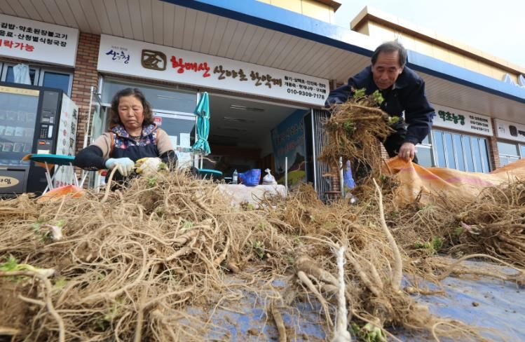 산청군, 동의보감촌 약초 판매장터 운영