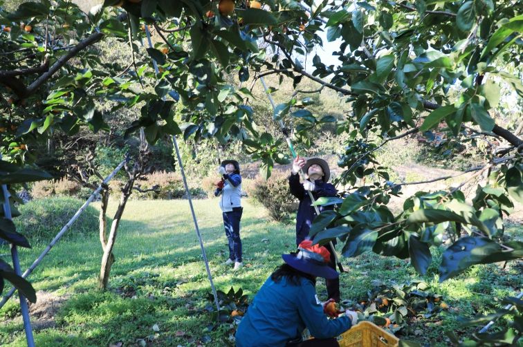 함양군 2025 하반기 농촌일손돕기