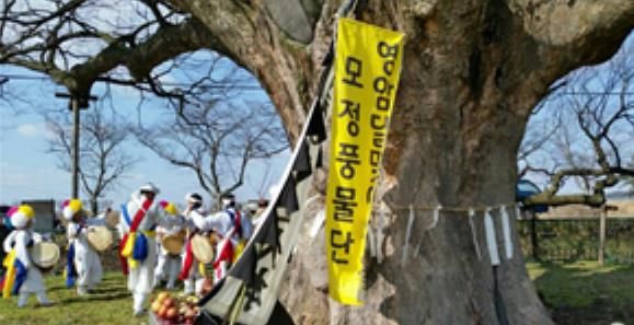 영암 군서면 모정마을