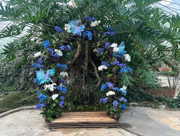 함평군 자연생태공원, 호접란 특별개최전 호접란 포토존