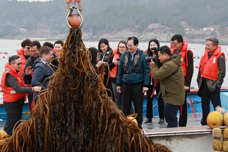 사진은 미 에너지부 산하기관 에너지 고등 계획원(ARPA-E) 관계자 완도군 해조류(미역) 양식장을 방문한 모습